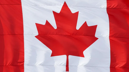 Top Custom Shopify Solutions for Canadian Brands: Boost Your Online Store